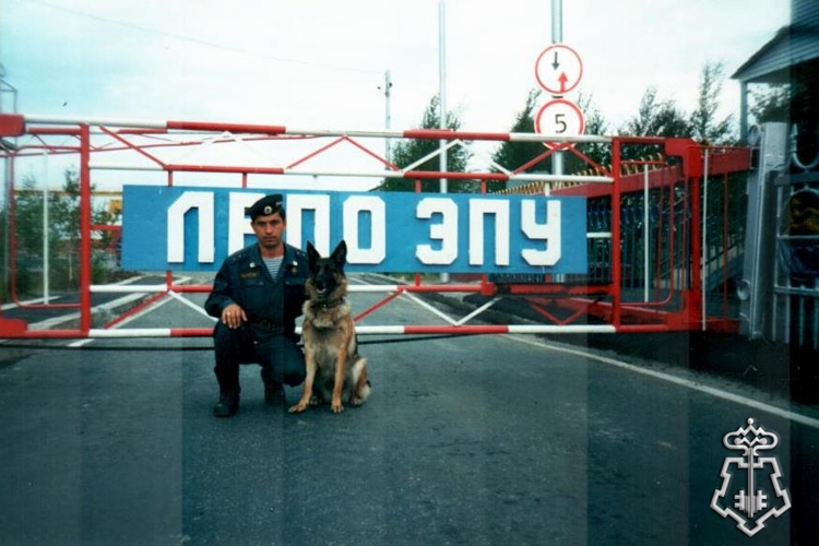История