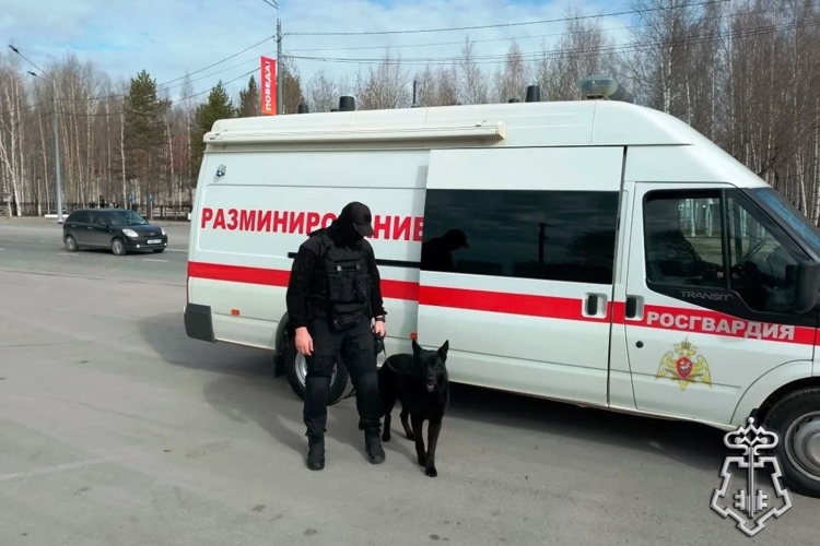 В Югре Росгвардия обеспечила охрану правопорядка на праздничных мероприятиях в честь Дня Победы    